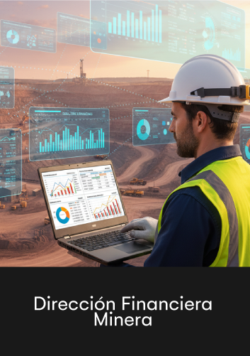 Programa de Especialización en Dirección Financiera Minera